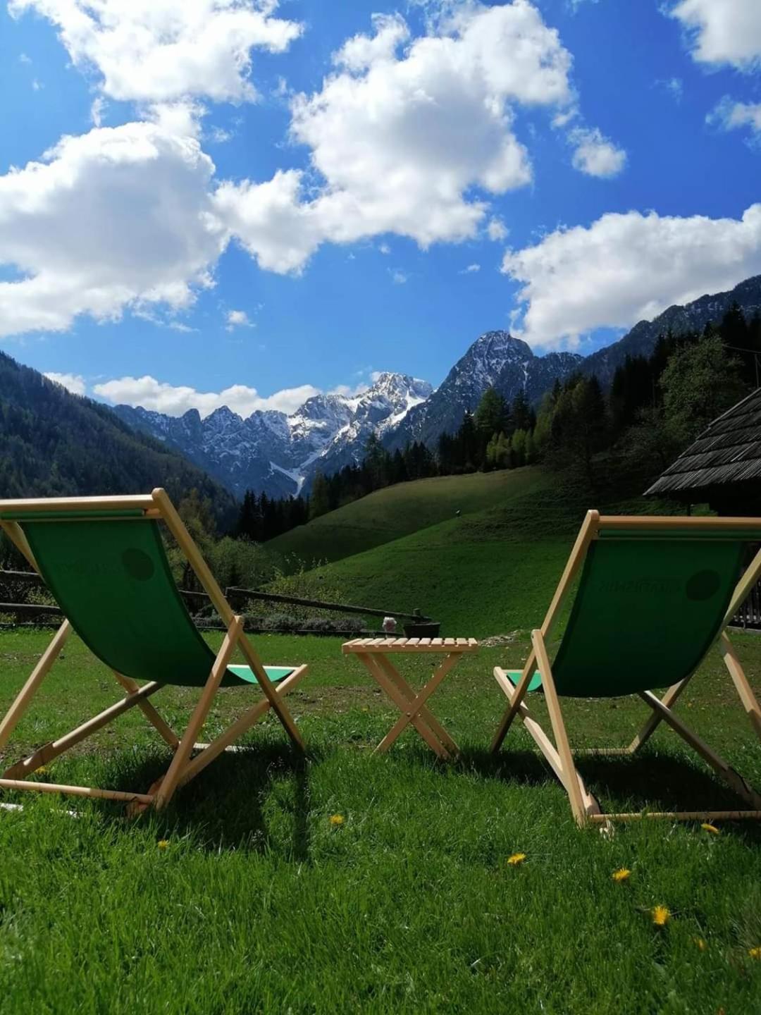 Tourist Farm Gradisnik Apartment Solčava Екстериор снимка