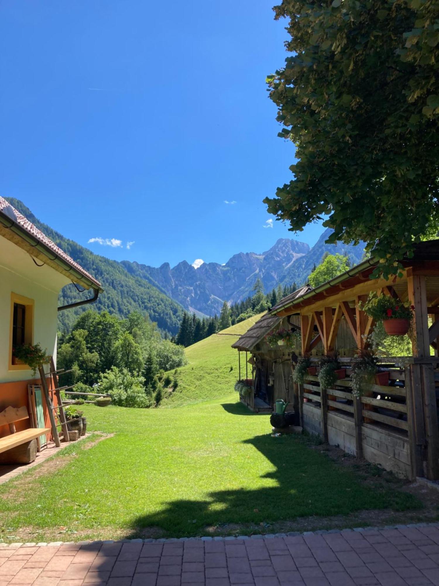 Tourist Farm Gradisnik Apartment Solčava Екстериор снимка