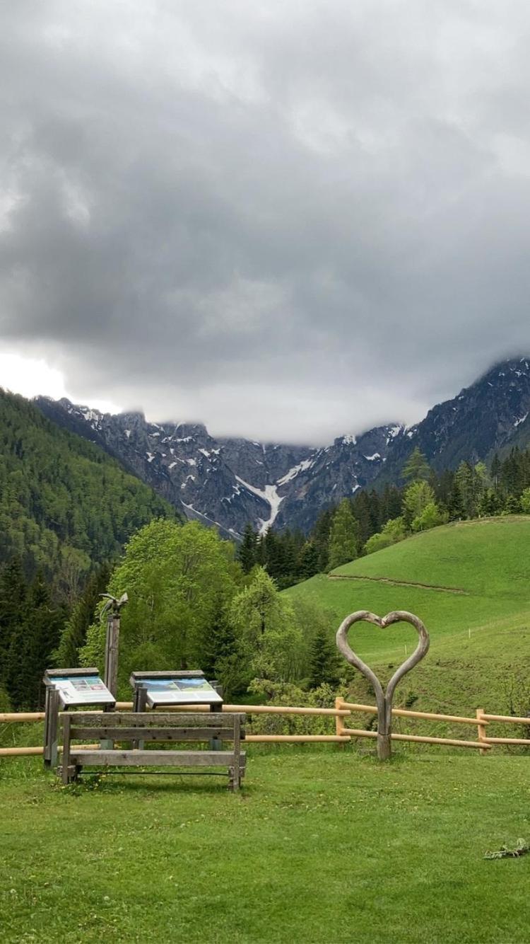 Tourist Farm Gradisnik Apartment Solčava Екстериор снимка