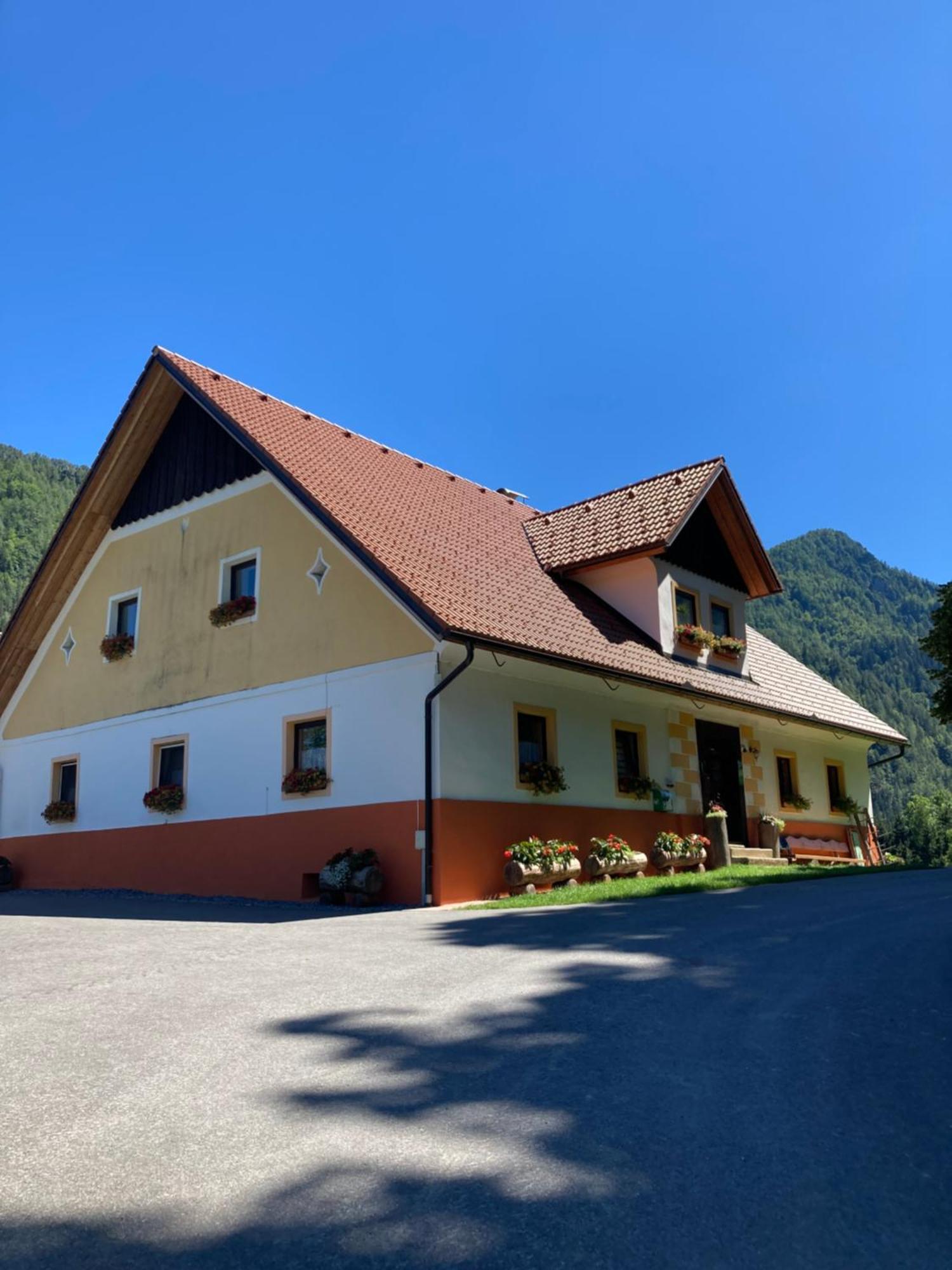 Tourist Farm Gradisnik Apartment Solčava Екстериор снимка