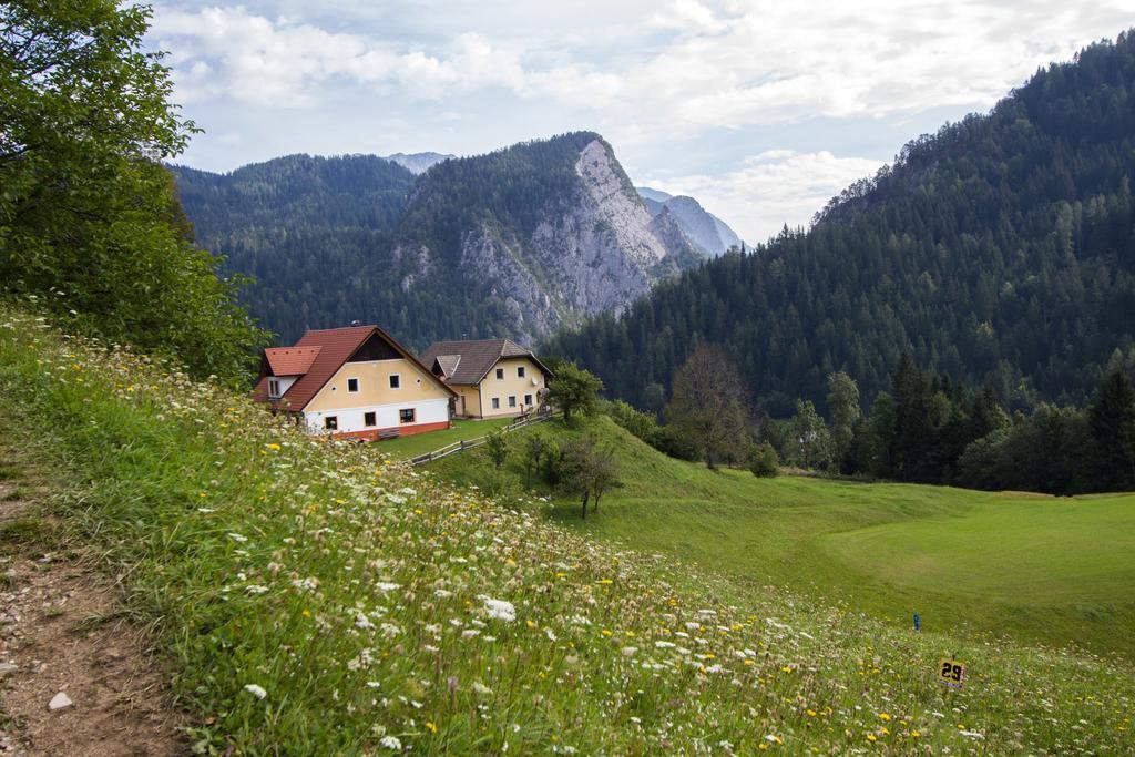Tourist Farm Gradisnik Apartment Solčava Екстериор снимка