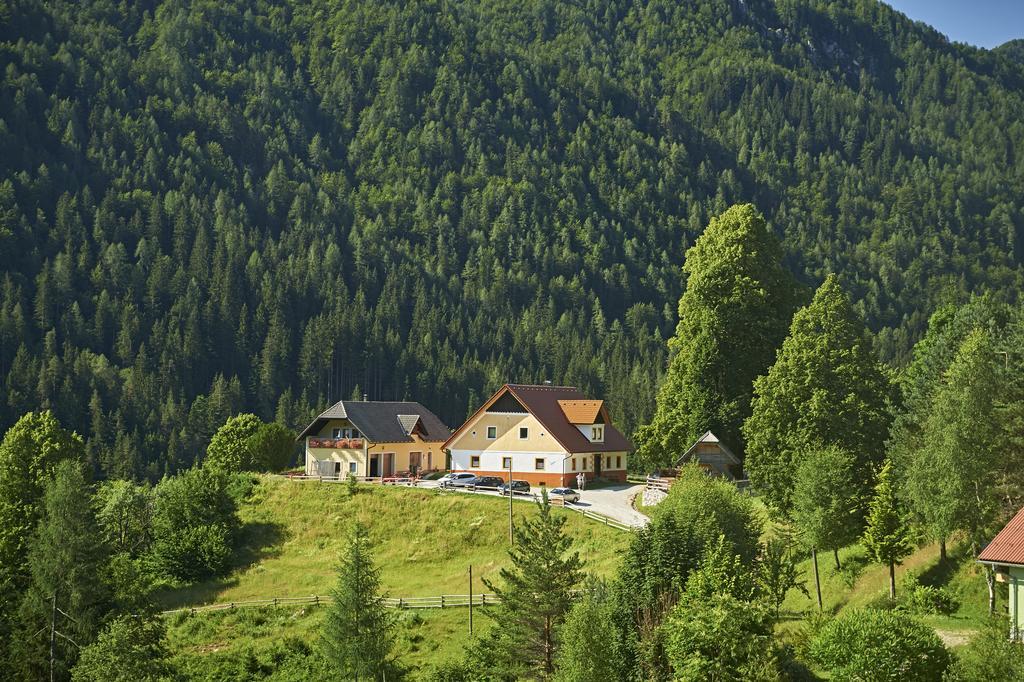 Tourist Farm Gradisnik Apartment Solčava Екстериор снимка