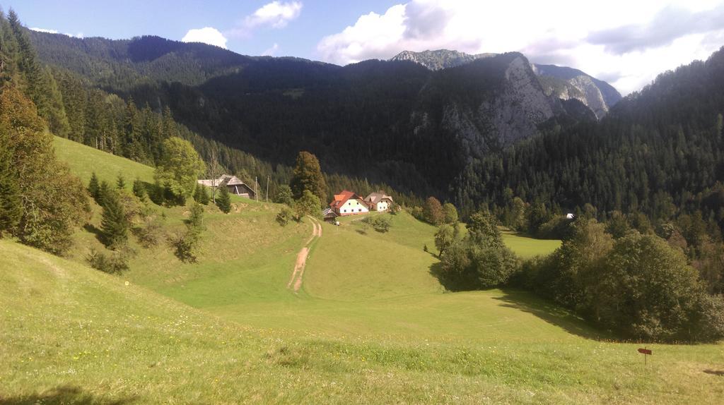 Tourist Farm Gradisnik Apartment Solčava Екстериор снимка