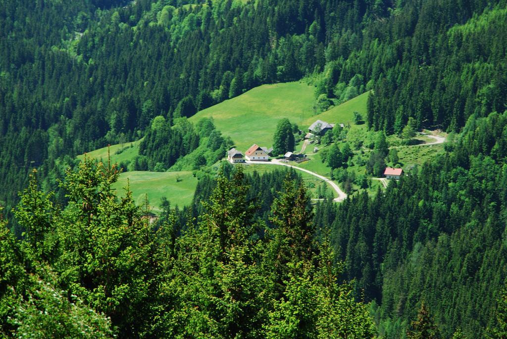 Tourist Farm Gradisnik Apartment Solčava Екстериор снимка