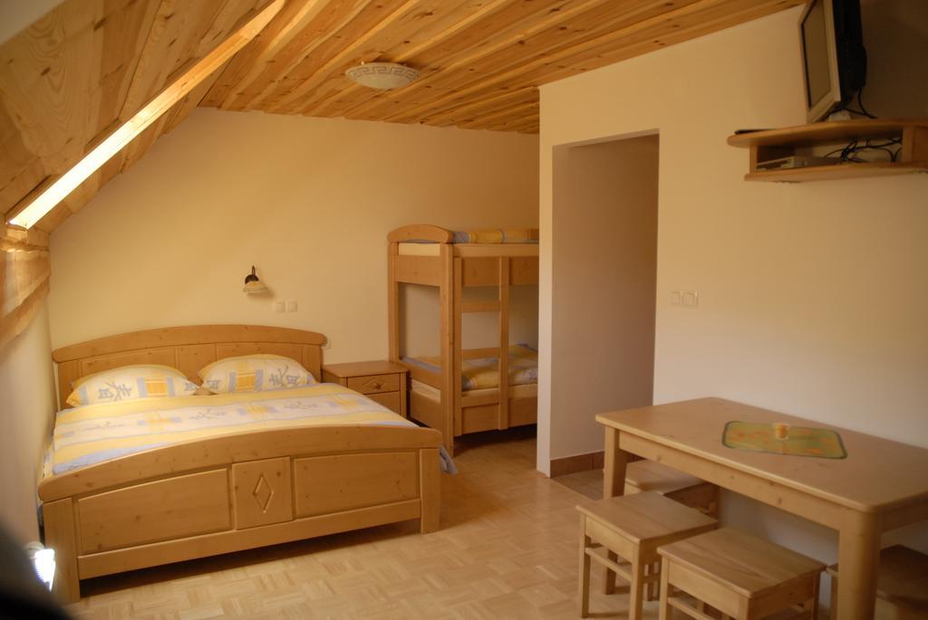 Tourist Farm Gradisnik Apartment Solčava Екстериор снимка